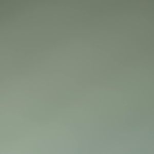 Meet your Posher, Cody